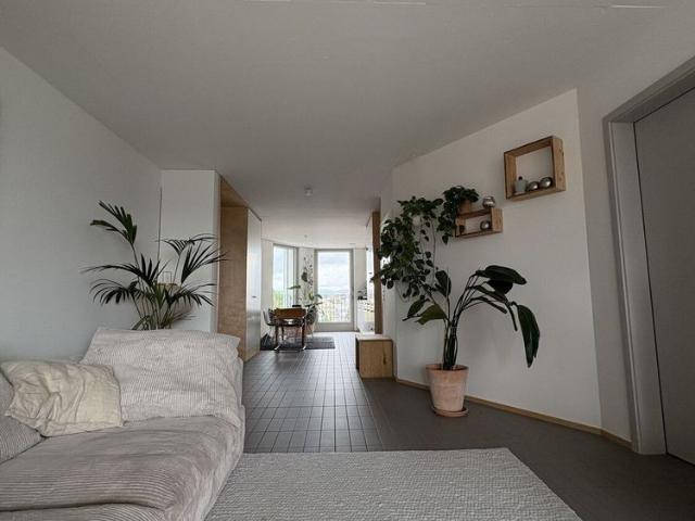 21/2 ROOM APARTMENT IN ZURICH DISTRICT 9 ALTSTETTEN, FURNISHED, TEMPORARY