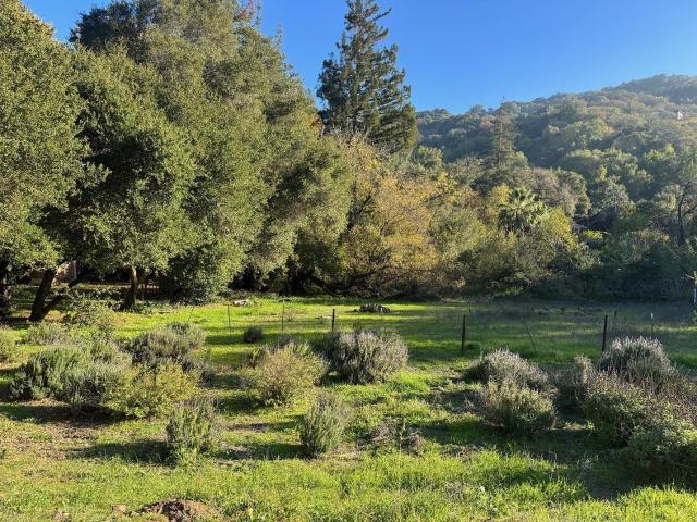 21300 Almaden Road