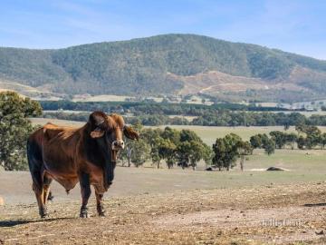 213 acres with hand built stone hut, bore water & breathtaking views