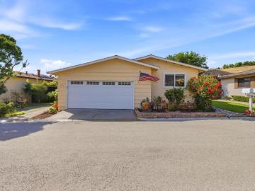 213 Mountain Springs Drive