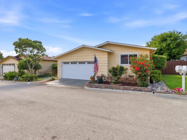 213 Mountain Springs Drive 213