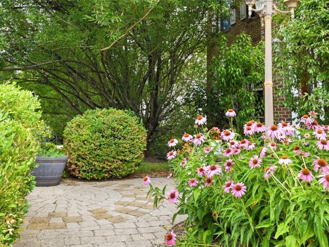 213 MacDuff Court