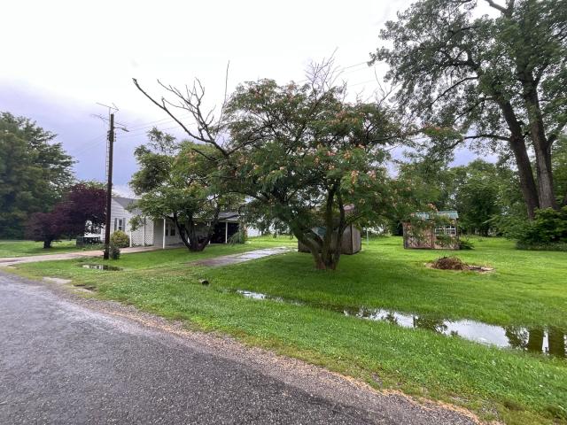 213 Maple Street