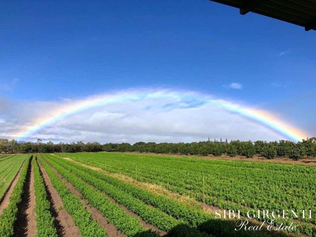 213Ha Horticultural Enterprise with Multiple Income Streams