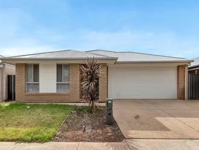 214 President Avenue, Andrews Farm, SA 5114