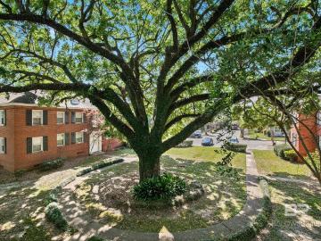 214 Upham Street 8D