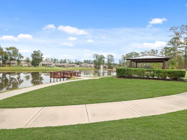 215 Brazen Forest Trail