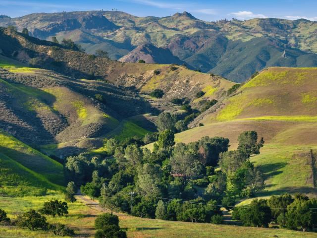 2160 Rambling Oaks Rd, Santa Ynez, CA 93460 | MLS #26000