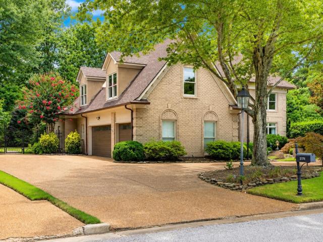 2176 gallina cir