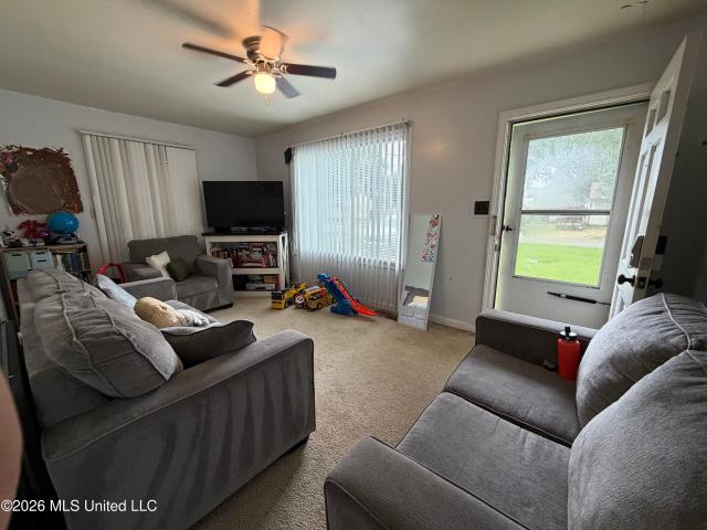 217 Cunningham Drive