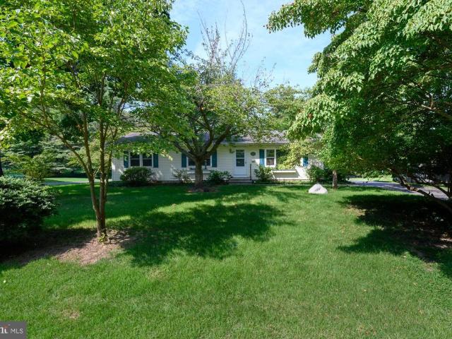 217 Edmore Road
