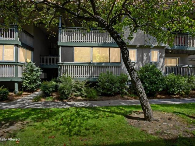 217 Kiely Boulevard B