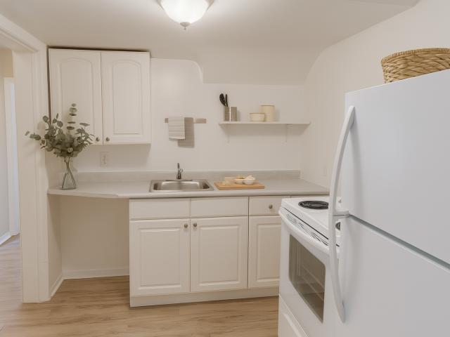 217 Laurier 217 Laurier 1 Bed Plan A Apartment for Rent