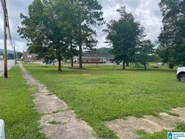 217 N MAIN ST, PIEDMONT, AL 36272
