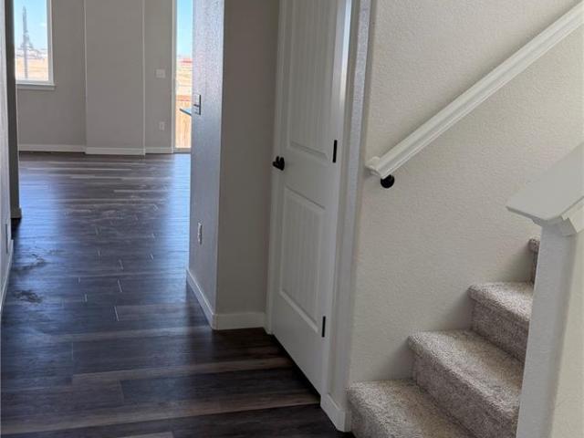 218 Cowbell Drive