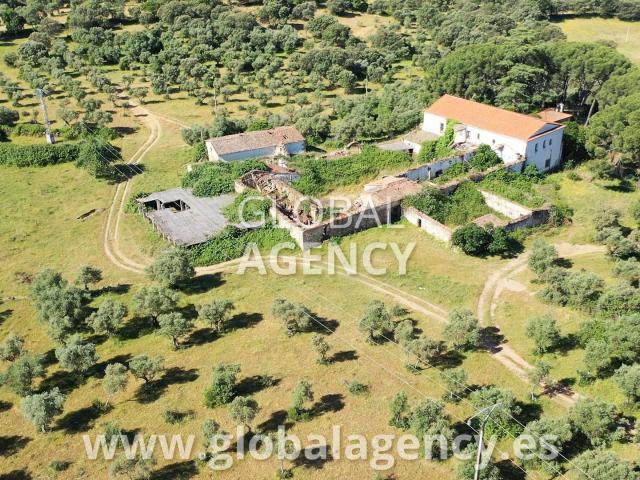 218 ha Finca Cortijo, Ermita, Dehesa Ganadera