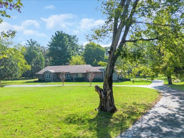 219 Cat Creek Rd