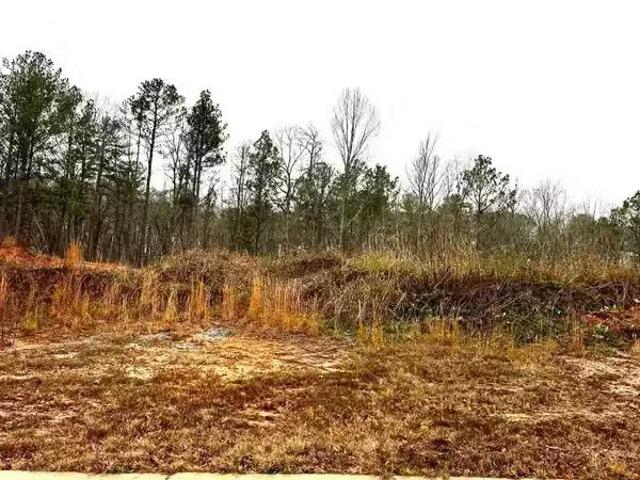 219 OLIVIA LN # 10, WOODSTOCK, AL 35188