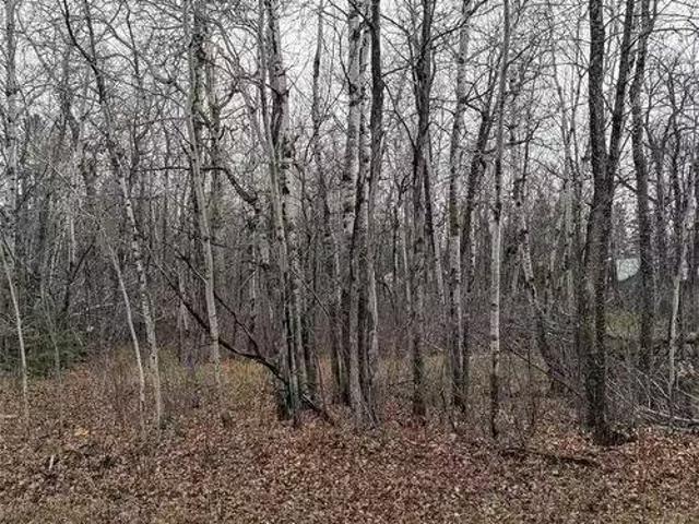 219 William Rd, Grand Marais, MB, R0E 0T0 vacant land for sa.