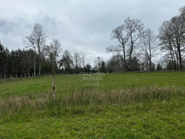 21,5 hectáreas a minutos de Osorno | 0 dormitorios por 516000. 00 en Osorno