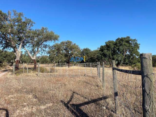 21,8HA de Terreno com Sobreiros