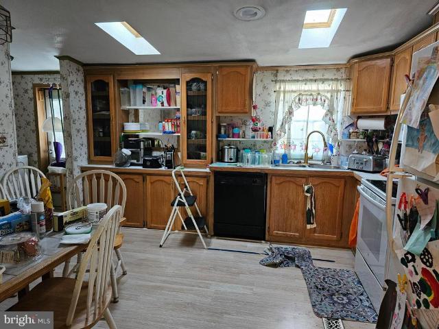 21 Vanessa Avenue