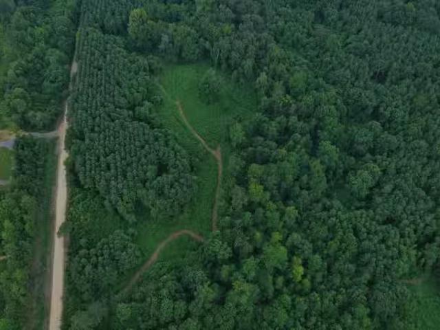21 AC SILO ROAD, ALTOONA, AL 35952