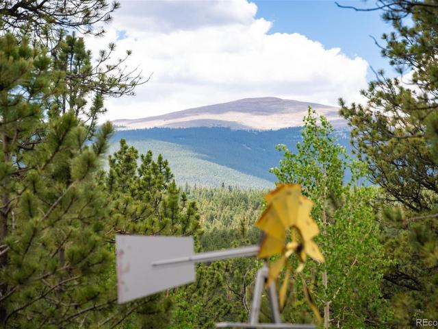 21 Crystal Rock Rd, Bailey, CO 80421 | MLS #2284