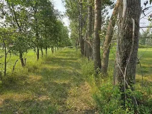 21 Ferry Rd, Cartier Rm, MB, R4K 1B2 vacant land for sale L.