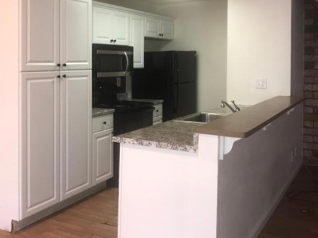 2205 Lemontree Way 2