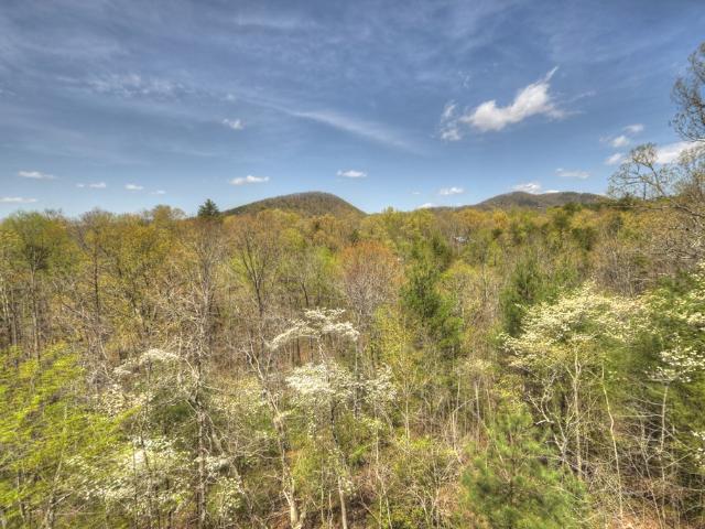 220 Lakota Ln, Mineral Bluff, GA 30559 | MLS #7744