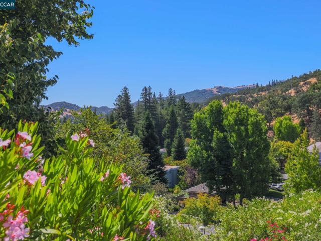 2224 Pine Knoll Dr 8
