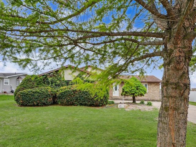 2229 Jeffery Drive