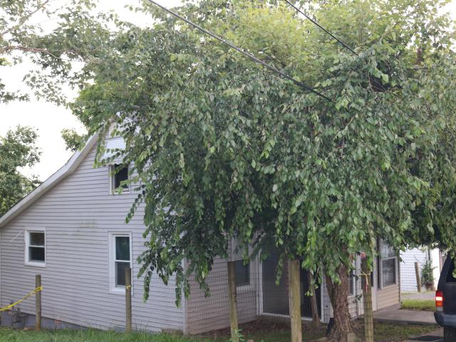 222 Morgan Street
