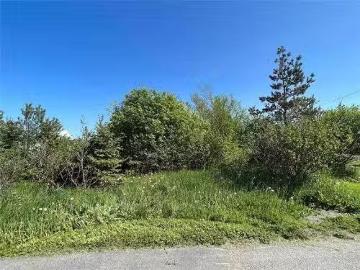 222 Neck Road, Bay Roberts, NL, A0A 1G0 vacant land for sale.