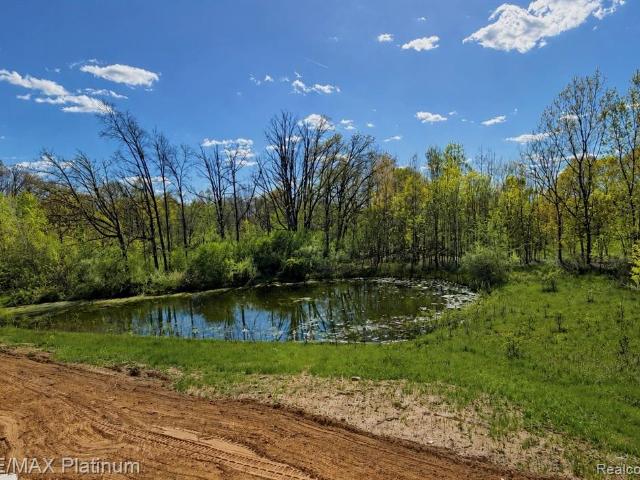2233 Knotty Pine Trail