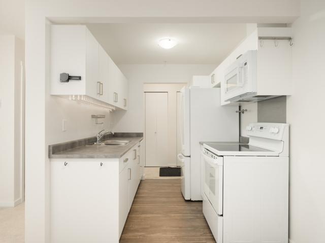 2245 Wilson Ave 3rd Floor, Port Coquitlam | Birds Nest Properties
