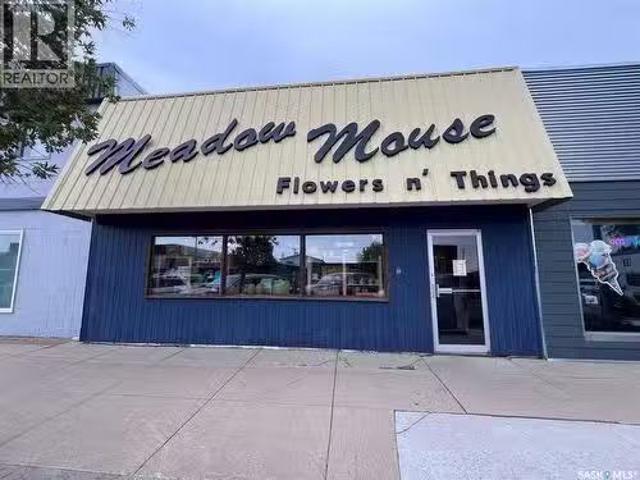 224 Centre Street, Meadow Lake, SK, S9X 1Z7 commercial for s.