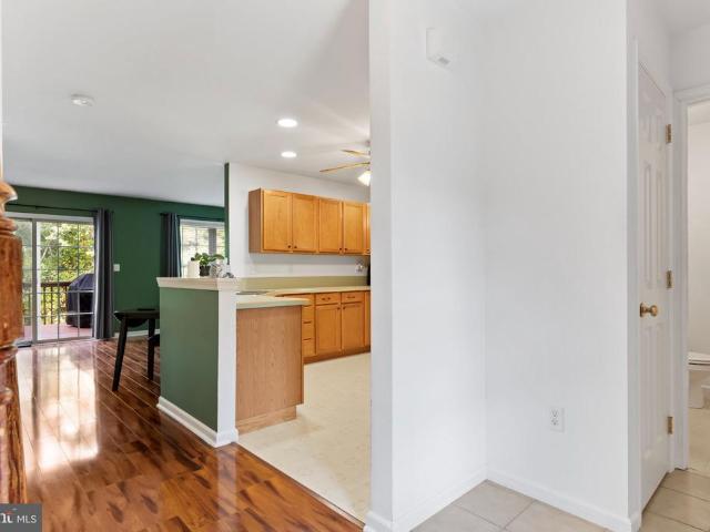 224 Whitetail Terrace