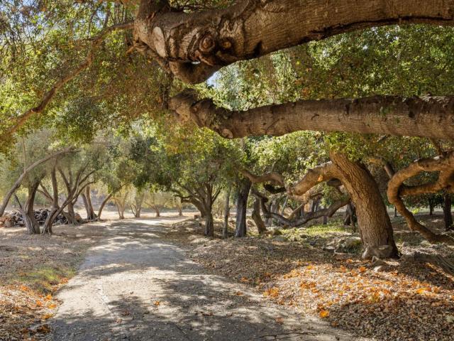 2250 Hermitage Rd, Ojai, CA 93023 | MLS #224418