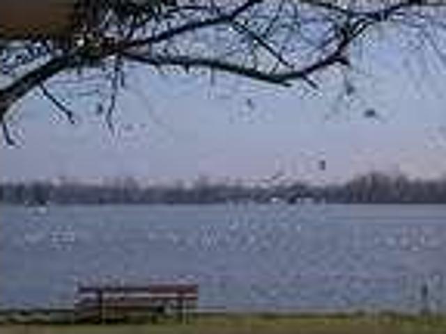 $225 / 1br Vacation Rental Indian Lake