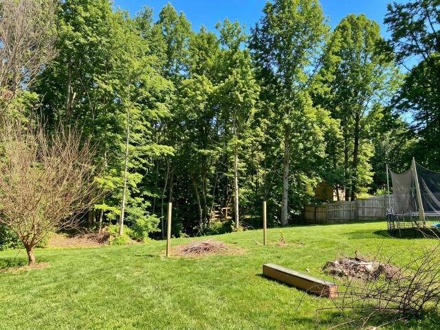 225 Lake Forrest Rd