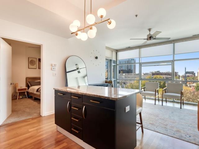 225 S Sangamon Street Unit 410, Chicago, US, IL
