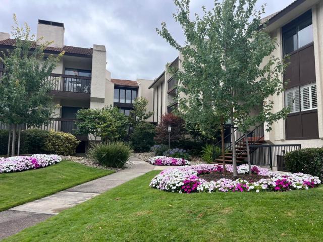 226 W Edith Ave 13, Los Altos, US, CA