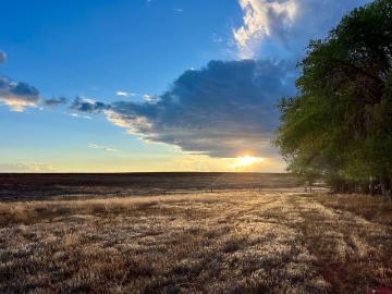 22749 Hwy 491 Yellow Jacket, CO 81335 | MLS #829019