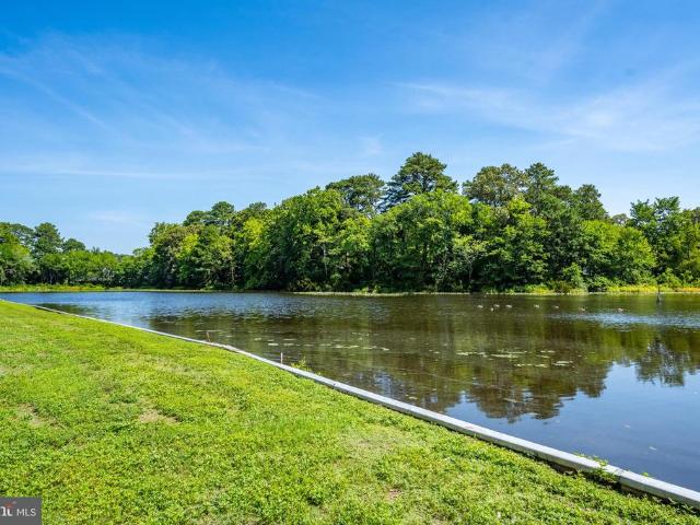 227 Canal Park Drive # 305