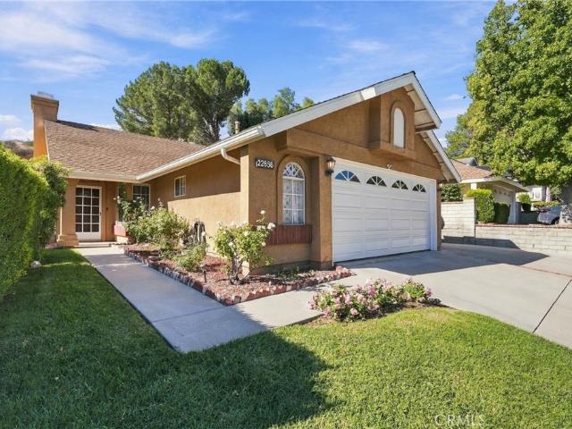 22856 Tamarack