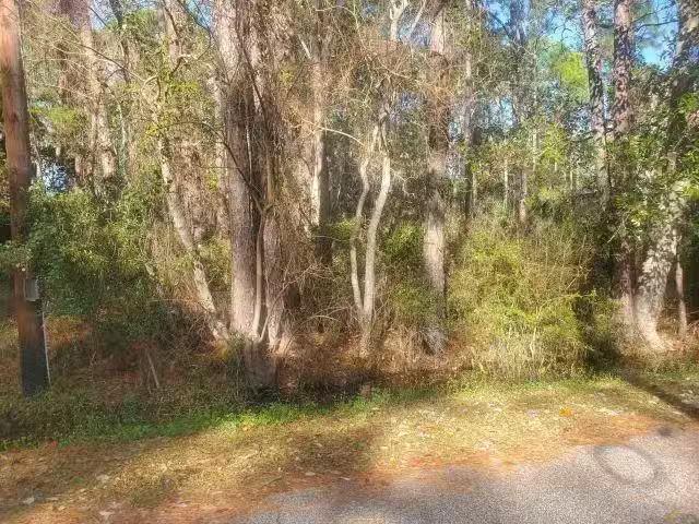 228 CHENAULT AVE, DAUPHIN ISLAND, AL 36528