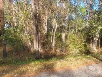 228 CHENAULT AVE, DAUPHIN ISLAND, AL 36528