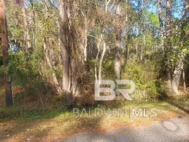 228 CHENAULT AVE, DAUPHIN ISLAND, AL 36528